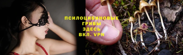 прущие грибы Аркадак