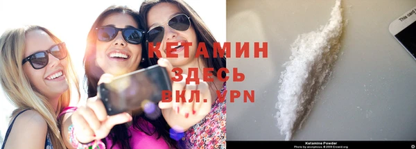 прущие грибы Аркадак