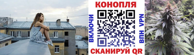 Конопля план  MEGA зеркало  Ступино 